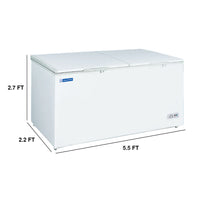 Blue Star Deep Freezer 550L